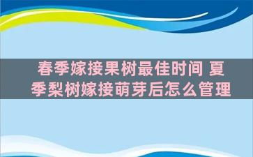 春季嫁接果树最佳时间 夏季梨树嫁接萌芽后怎么管理